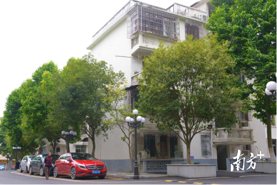 完成部分改造升級(jí)后的市政府生活區(qū)。張曉欣 攝