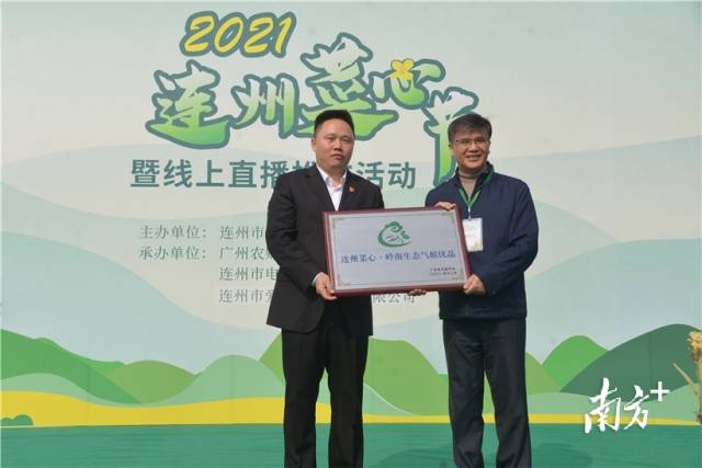 連州菜心獲評(píng)“嶺南生態(tài)氣候優(yōu)品”，廣東省氣象局一級(jí)巡視員、省氣象學(xué)會(huì)理事長(zhǎng)梁建茵為連州菜心授牌。張曉欣 攝