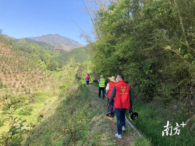 巡山。