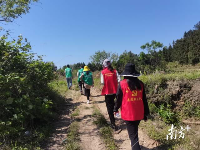 豐陽鎮(zhèn)的440余名黨群志愿者堅守先鋒崗，守護豐陽的綠水青山。