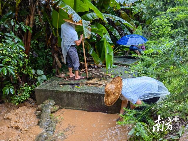 為保障陂嶺近三分之二村民用水，陂嶺村新老干部冒雨前往水源點(diǎn)解決集中供水問(wèn)題。