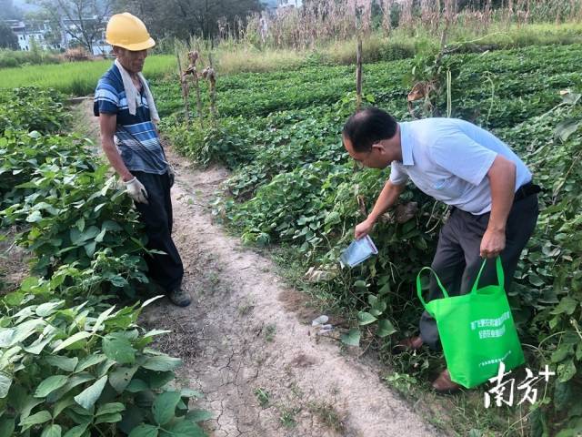 噴灑施藥。
