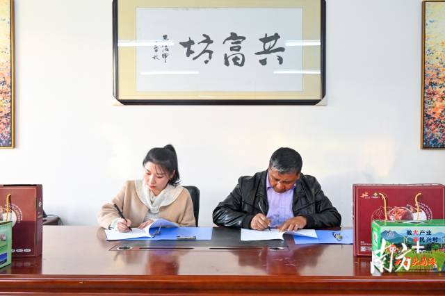 企業(yè)采購(gòu)意向簽約儀式。張曉欣 攝