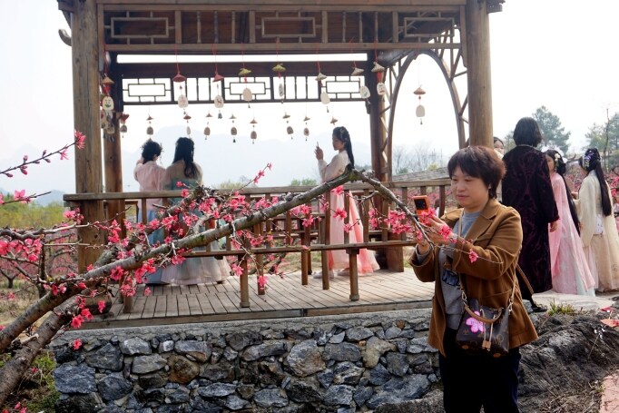 桃花節(jié)在九陂鎮(zhèn)開幕，迎來八方游客。清遠(yuǎn)日?qǐng)?bào)記者 周璐攝。